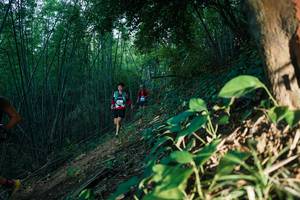 BIB: 
                            <button type="button" onclick="openModal(28123873)" class="btn btn-primary btn-sm float-right btn-popup" data-toggle="modal" data-target=".modal-high-quality">
                        <i class="fas fa-shopping-cart"></i> Add to Cart
                    </button>
                                            <button type="button" onclick="isThisMe(28123873, true)" class="btn btn-success btn-sm float-right btn-popup btn-isme hidden" data-toggle="tooltip" data-placement="bottom" title="นี่คือรูปของคุณใช่ไหม คลิกที่นี่เพื่อเอาเข้าอัลบั้ม">
                        <i class="fas fa-plus"></i> Add to album
                    </button>
                    <button type="button" onclick="isThisMe(28123873, false)" class="btn btn-warning btn-sm float-right btn-popup btn-isnotme hidden">
                        <i class="fas fa-ban"></i> Remove from album
                    </button>